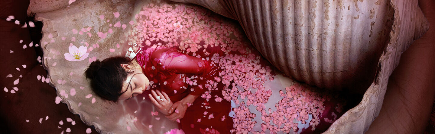 blog header